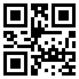 Numeris 11110113 QR kodas