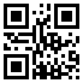 Numeris 13133129 QR kodas