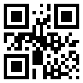 Numeris 13325104 QR kodas