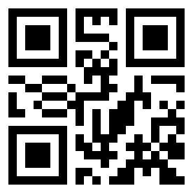 Numeris 161633 QR kodas