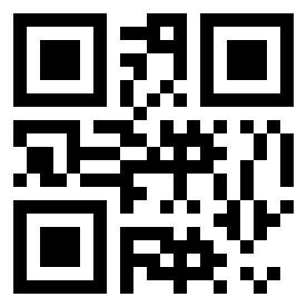 Numeris 170063 QR kodas