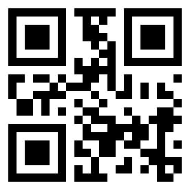 Numeris 17411702 QR kodas