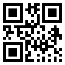 Numeris 300546 QR kodas