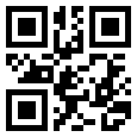 Numeris 313124 QR kodas