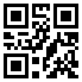 Numeris 60029 QR kodas