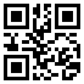 Numeris 601013 QR kodas