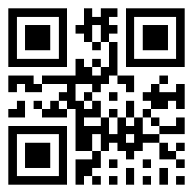 Numeris 95113 QR kodas