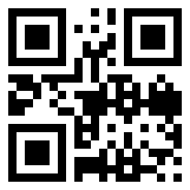 Number 10010113 QR code