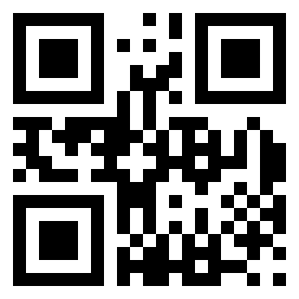 Number 10020001 QR code