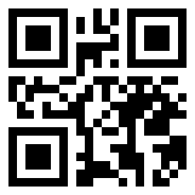 Number 10110211 QR code