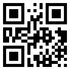 Number 10252817 QR code