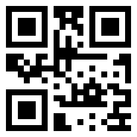 Number 10375135 QR code