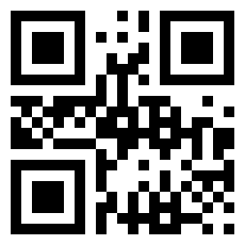 Number 10733280 QR code