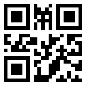 Number 11127333 QR code