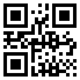 Number 1250411 QR code