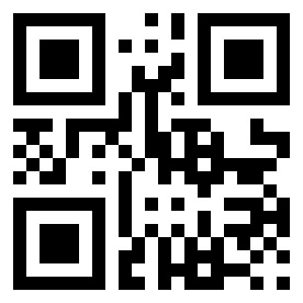 Number 13093358 QR code