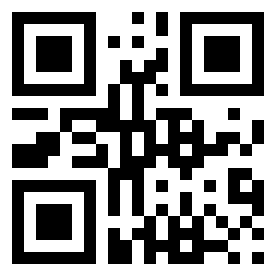 Number 13133128 QR code