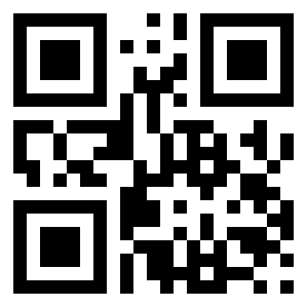 Number 13153411 QR code