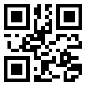 Number 13223 QR code