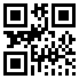 Number 13224 QR code