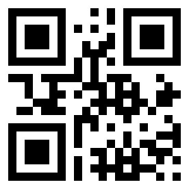 Number 13231795 QR code