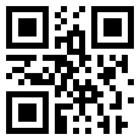 Number 13325103 QR code