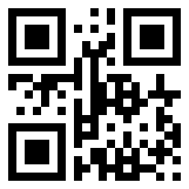 Number 13385109 QR code