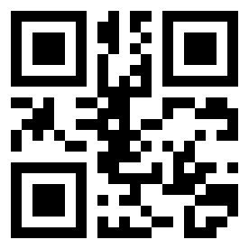 Number 134665 QR code