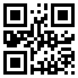 Number 13504281 QR code