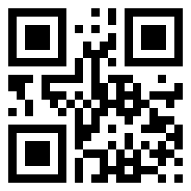 Number 13535041 QR code