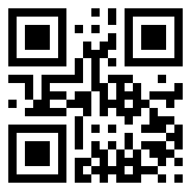 Number 13535043 QR code