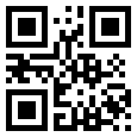 Number 13601067 QR code