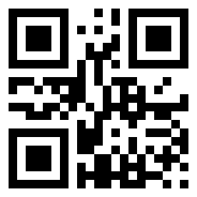 Number 16116541 QR code