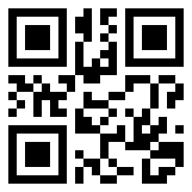 Number 163219 QR code