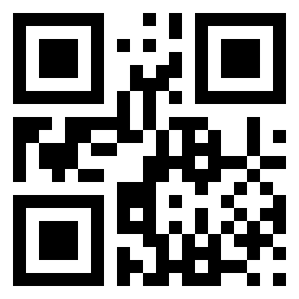 Number 17176865 QR code