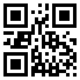 Number 18113541 QR code