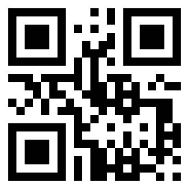 Number 20216325 QR code