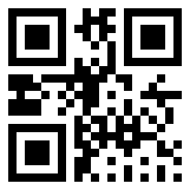 Number 213120 QR code