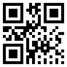 Number 213177 QR code