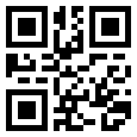 Number 213337 QR code