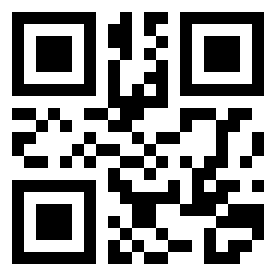 Number 213733 QR code