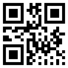 Number 213738 QR code