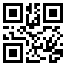 Number 217667 QR code