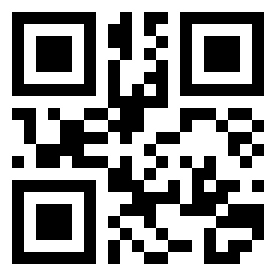 Number 219041 QR code