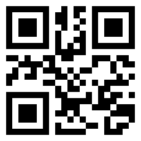 Number 222229 QR code