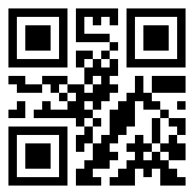 Number 224323 QR code