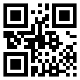 Number 25040016 QR code