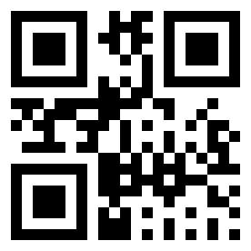 Number 25306 QR code