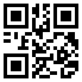 Number 256536 QR code