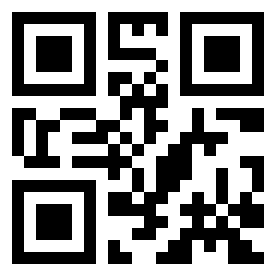 Number 256539 QR code